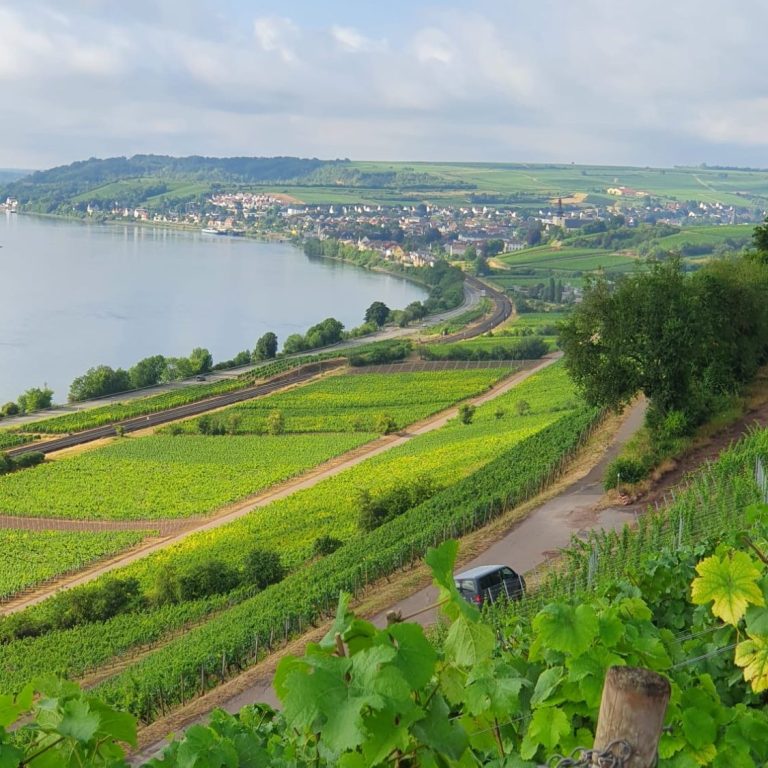 Wandern am Rhein